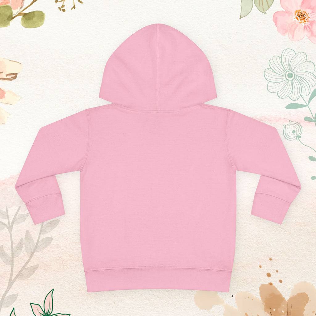 Sunshine & Hurricane Toddler Hoodie
