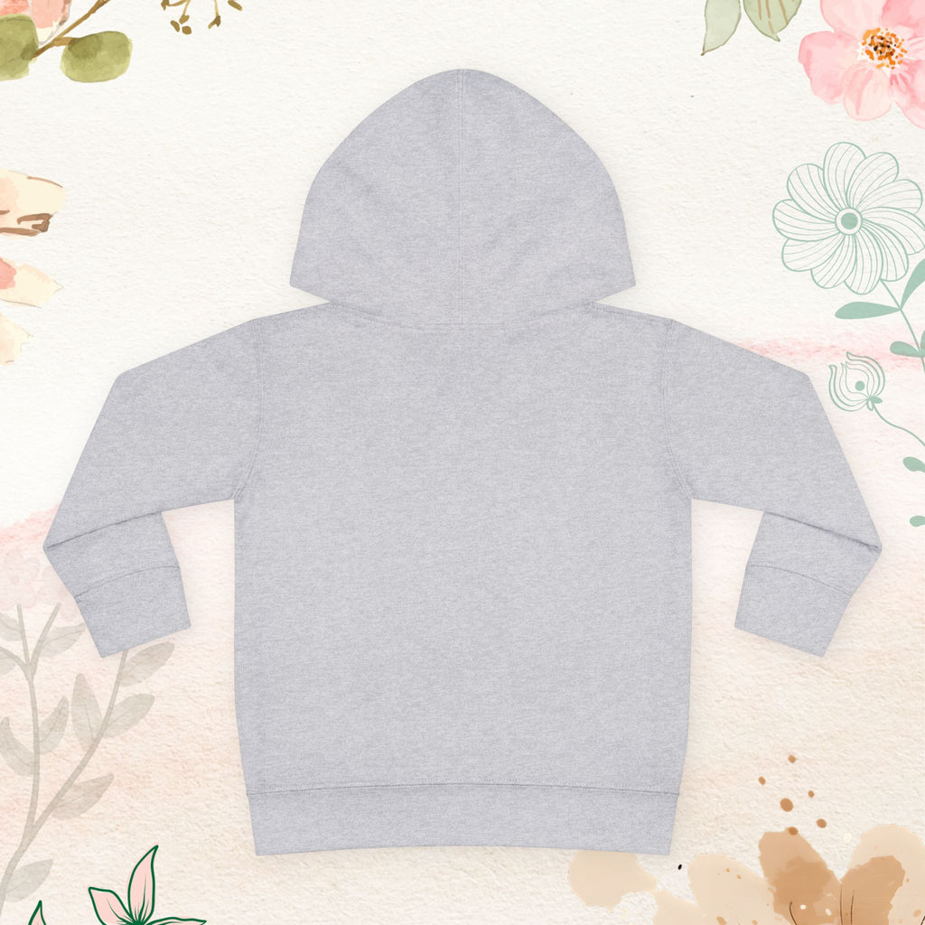 Sunshine & Hurricane Toddler Hoodie